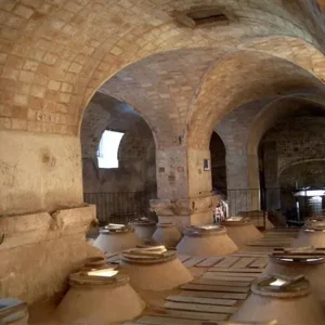 Visita Museo del vino y Bodega en Bullas
